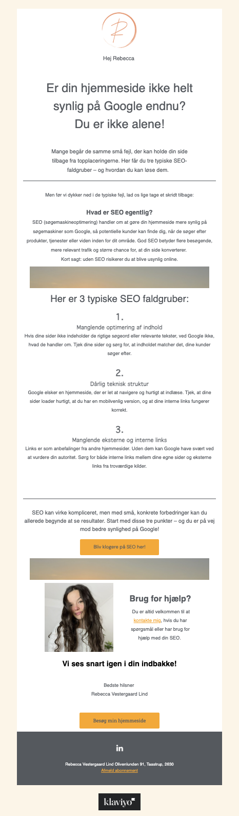 nyhedsbrev seo